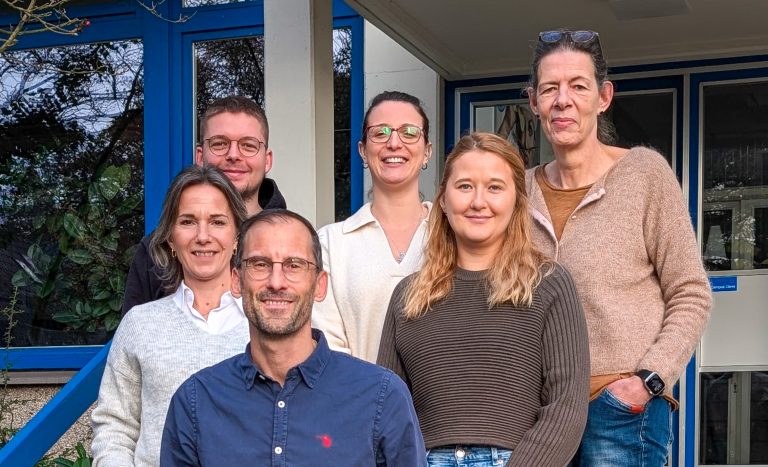 Neue Vertriebsstruktur bei Saro: Vom Vertrieb Deutschland zum Vertrieb DACH